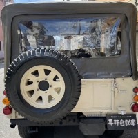 IMG_3236 (2)